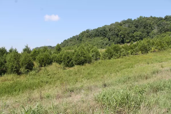 Greeneville, TN 37745,000 Lonesome Pine TRL
