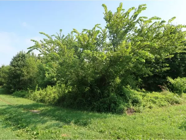 Midway, TN 37809,000 Mcmillan RD