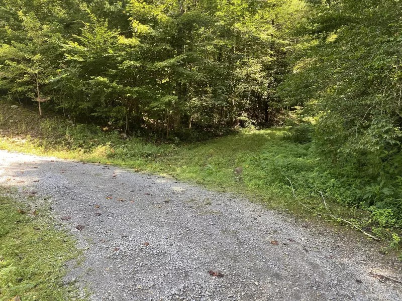 00 Punkton RD, Del Rio, TN 37727