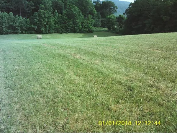 Unicoi, TN 37692,Tbd Unicoi Drive DR