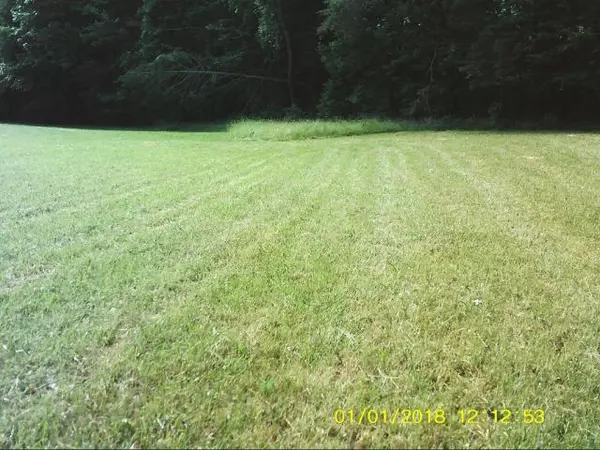 Unicoi, TN 37692,Tbd Unicoi Drive DR