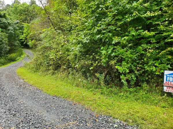 Roan Mountain, TN 37687,Tbd Eagle Ridge RD