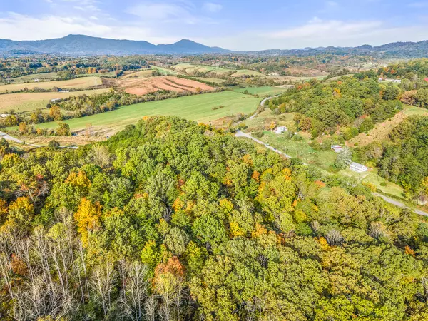 Afton, TN 37616,000 Davis Valley RD