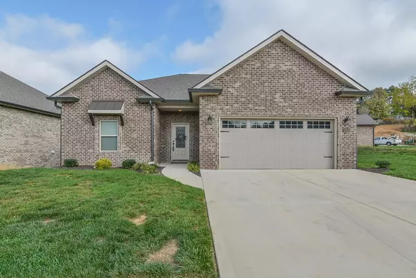 203 Ripple Falls Private DR, Gray, TN 37615