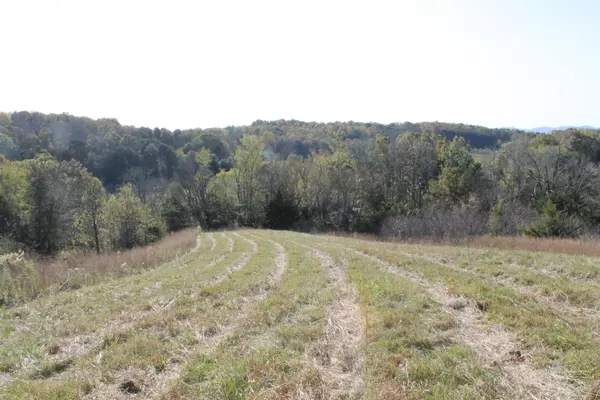 Greeneville, TN 37743,7.52 Ac Rader LN