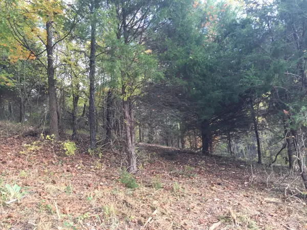 Chuckey, TN 37641,Lot 2 Charles Johnson RD