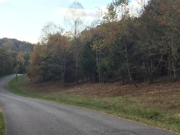 Chuckey, TN 37641,Lot 2 Charles Johnson RD