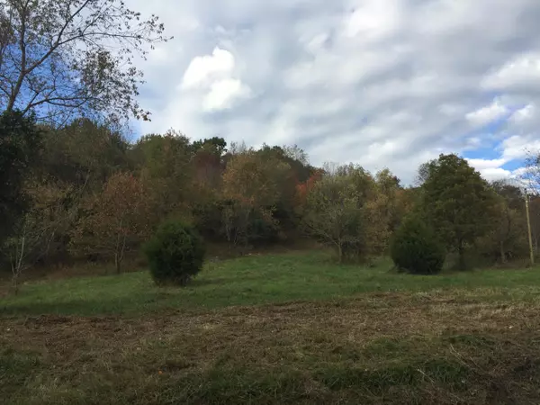 Chuckey, TN 37641,Lot 5 Charles Johnson RD