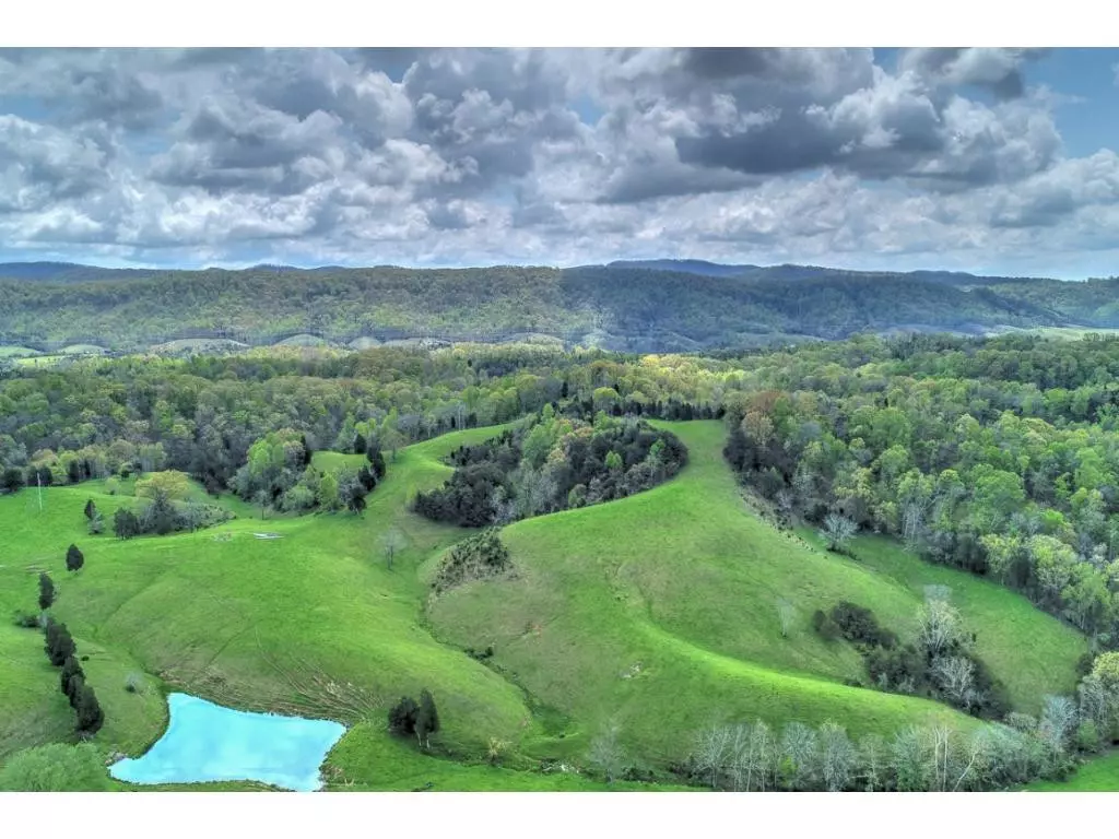 Rogersville, TN 37857,000 Owens RD