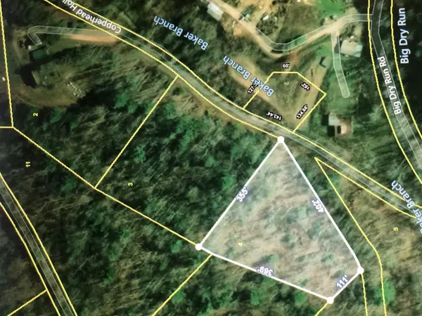 Butler, TN 37640,00 Copperhead Hollow RD