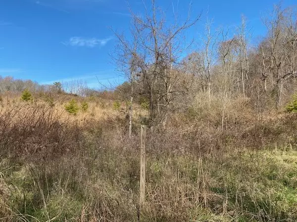 Afton, TN 37616,0 Pigeon Hollow RD #Lot 4