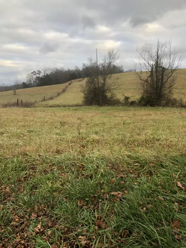 Chuckey, TN 37641,Tbd Bill Gourley RD