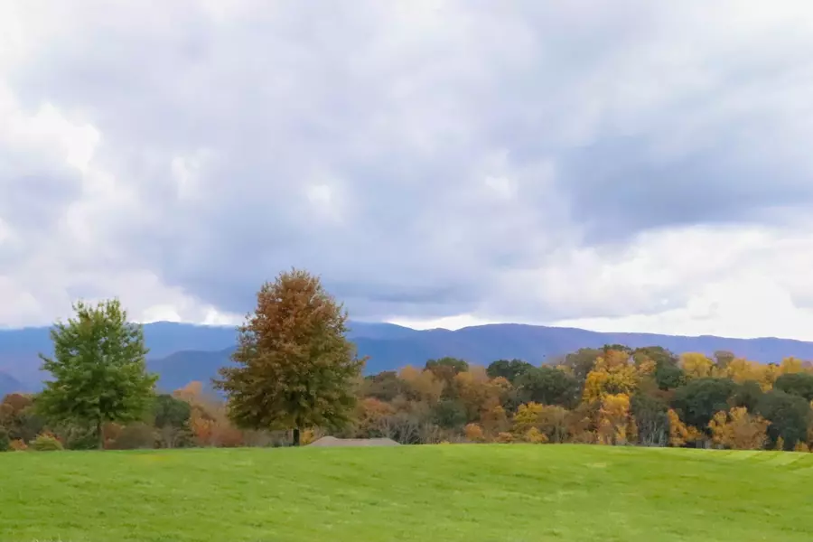 Lot 52 Plantation DR, Greeneville, TN 37745