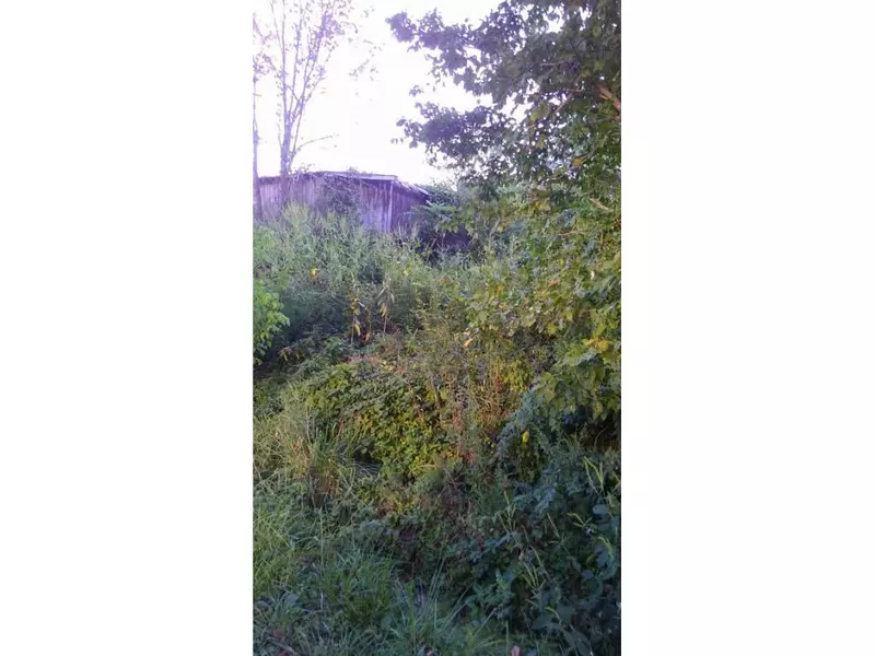 0 Jarrell Road, Mohawk, TN 37810