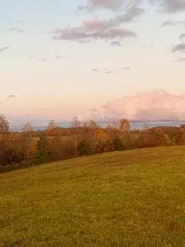Chuckey, TN 37641,761 Boyd Carter RD