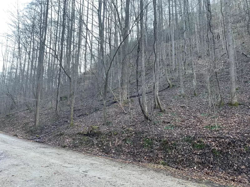 Tbd Canaan RD, Butler, TN 37640