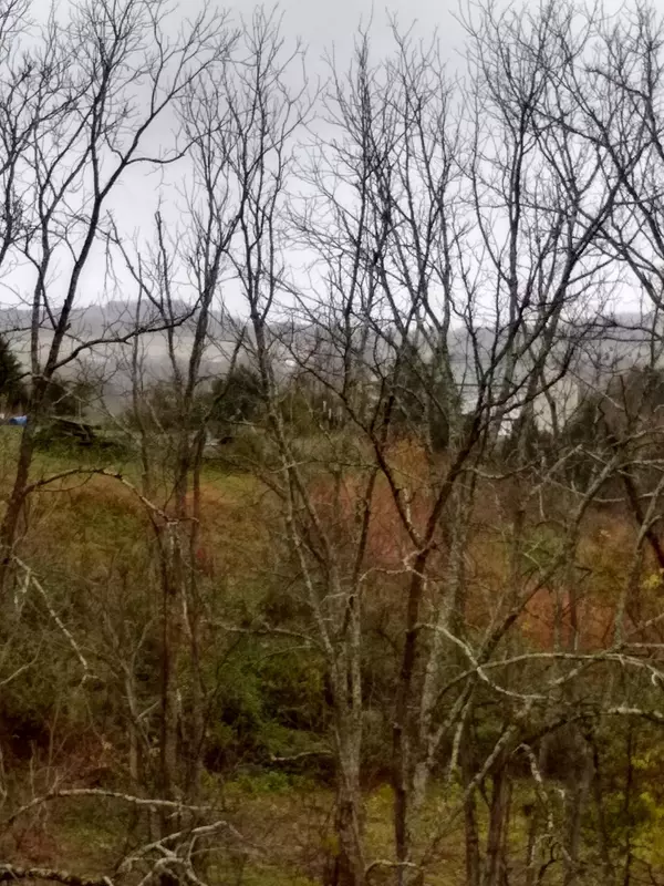 Greeneville, TN 37743,1600 Allens Bridge RD
