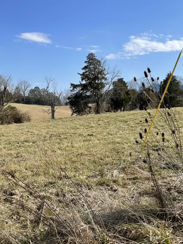 Lot 51 Lee Road, Mohawk, TN 37810