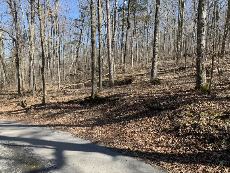 00 Friendship Road South, Greeneville, TN 37745