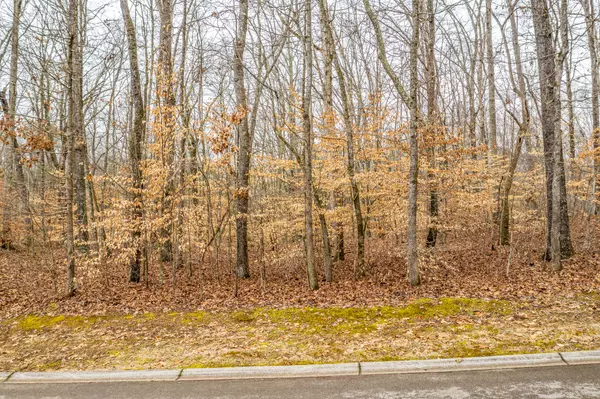 Rutledge, TN 37861,Lot 34 Blount CIR