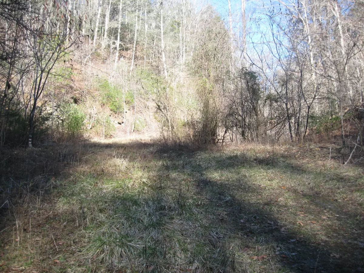 Bluff City, TN 37618,Tbd Troublesome Hollow RD