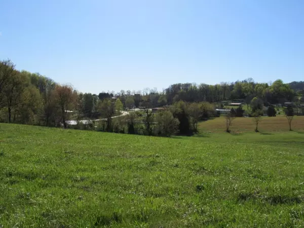 Chuckey, TN 37641,1995 Chuckey HWY