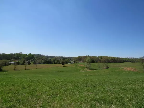 Chuckey, TN 37641,1995 Chuckey HWY