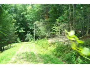 Butler, TN 37640,000 Hickory Hill Lane, Lot #7