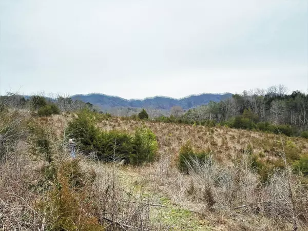 Thorn Hill, TN 37881,00 Mtn Valley Highway 131