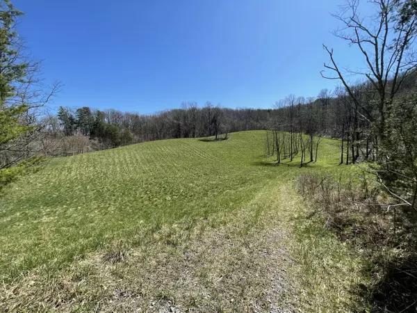 Parrottsville, TN 37843,00 Chapel North WAY