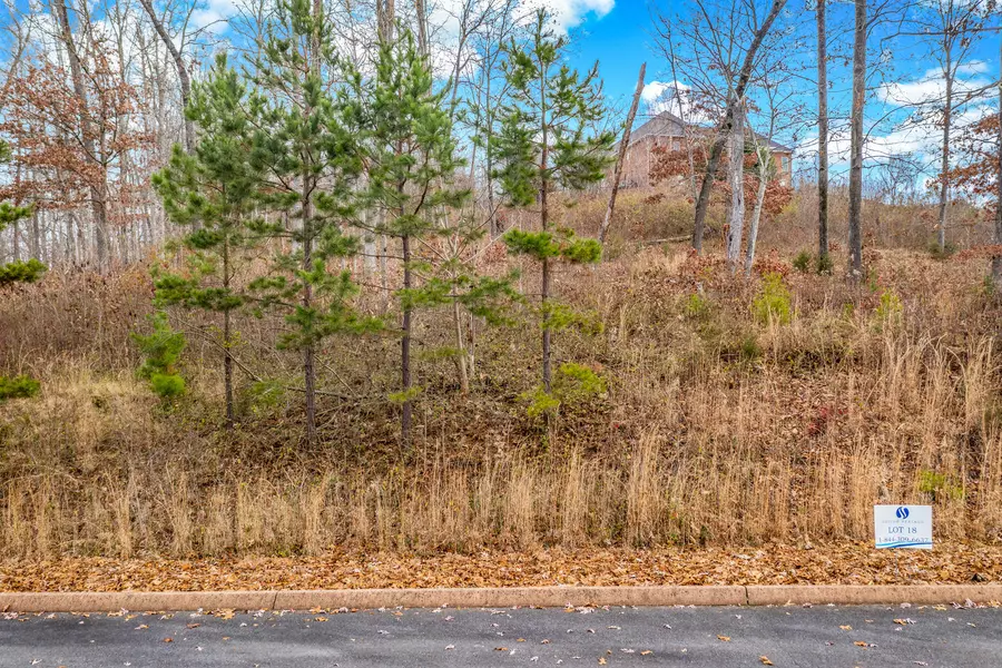 Lot 18 Aidans TRL, Rutledge, TN 37861