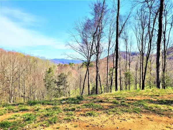 Roan Mountain, TN 37687,414 Eagle Ridge RD