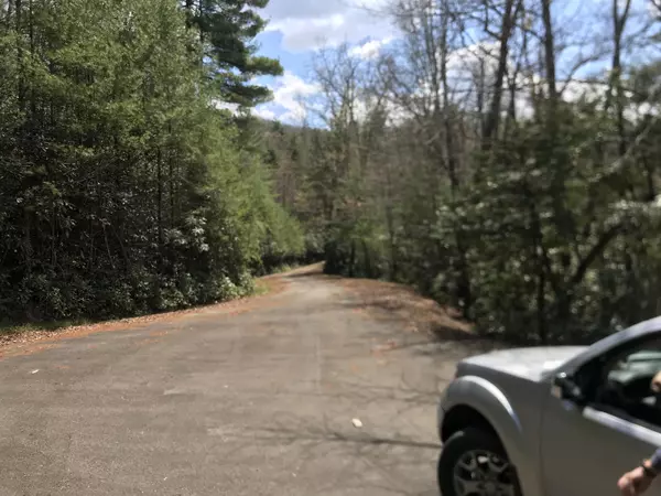 Mountain City, TN 37683,Lot 17 Callalantee DR