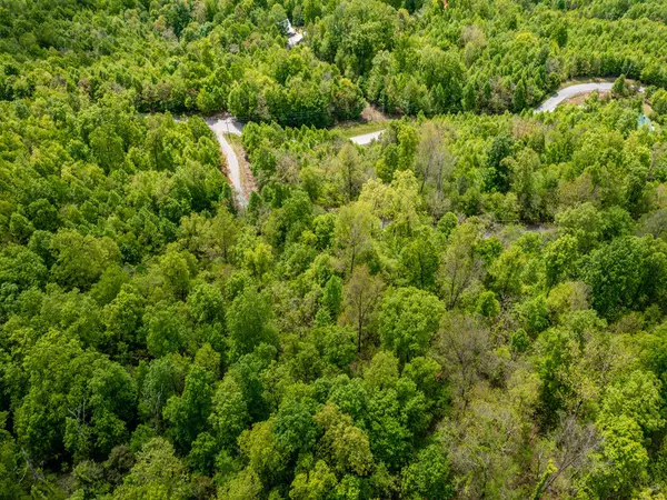 New Tazewell, TN 37825,Lot 620 Chimney Rock RD