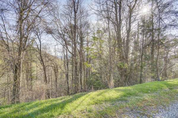 Unicoi, TN 37692,5 Ridgetop LN