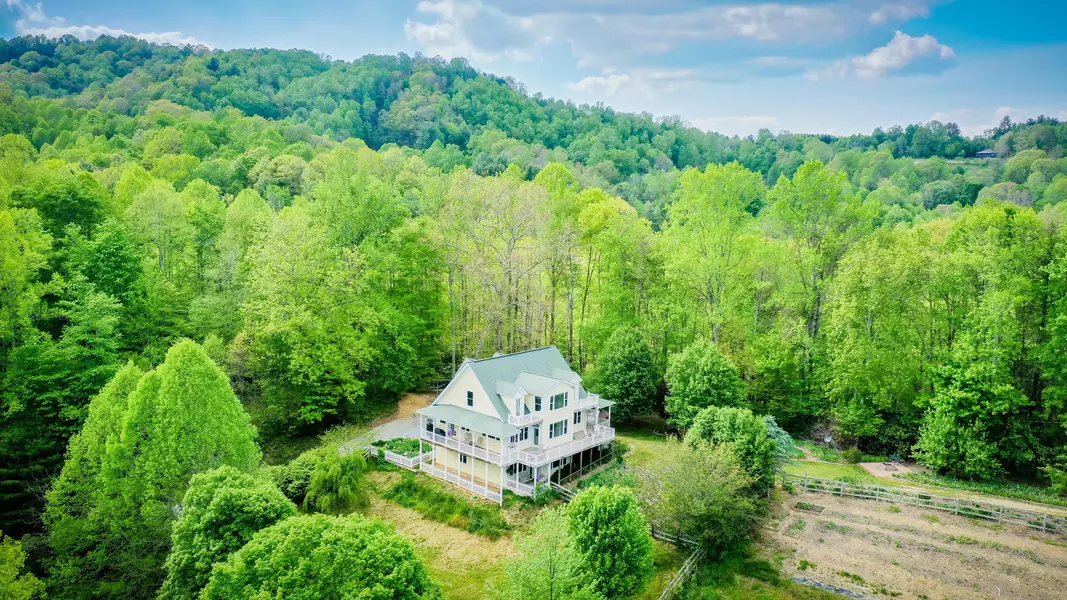 1196 Buck Mountain RD, Roan Mountain, TN 37687