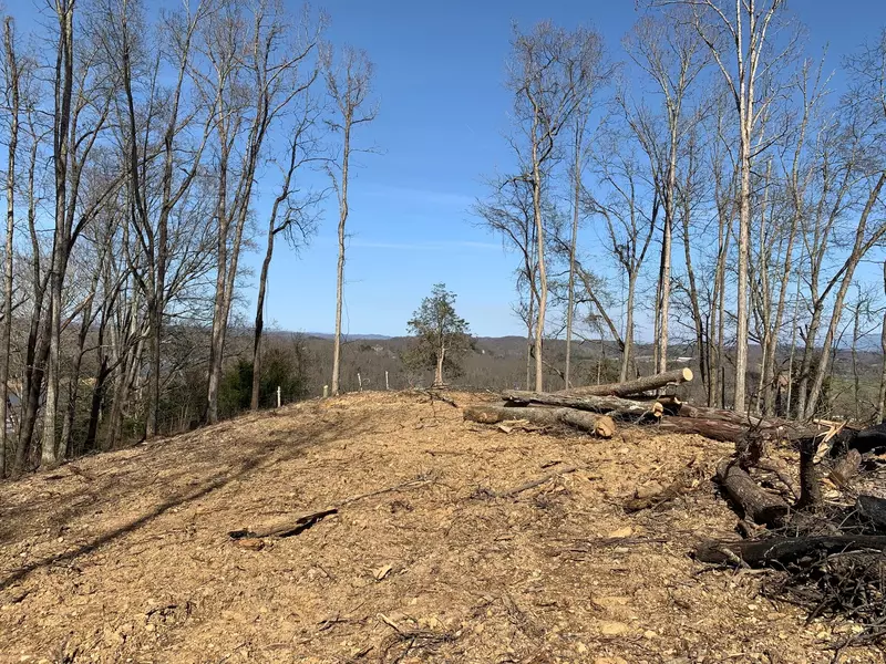 0 Boring Chapel RD, Gray, TN 37615