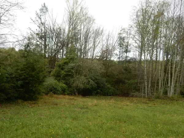 Roan Mountain, TN 37687,Tbd Tiger Creek RD