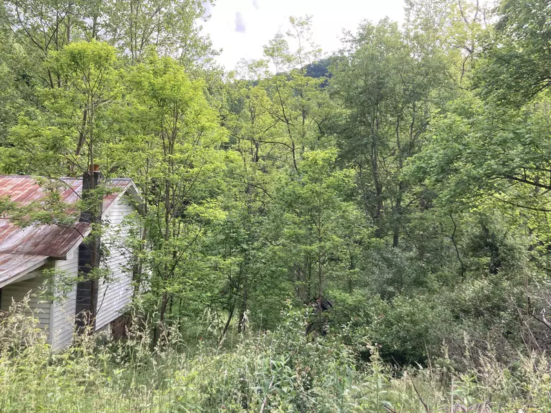 10403 Bold Camp RD, Pound, VA 24279