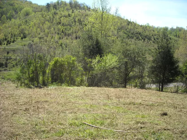 Mooresburg, TN 37811,Tbd Big Hill RD