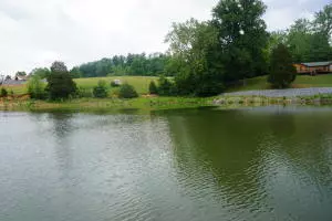 Lot 2 Reynolds RD, Piney Flats, TN 37686