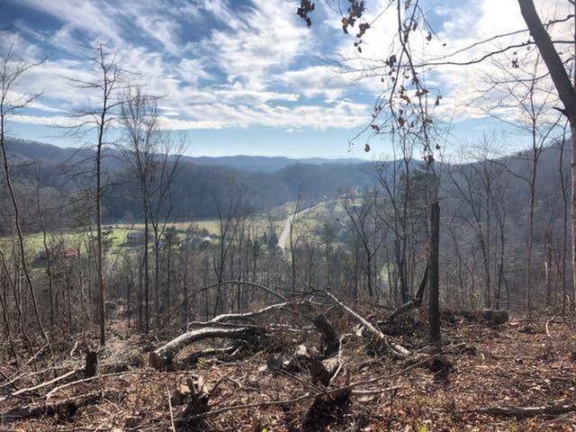 0 Butcher Valley RD, Rogersville, TN 37857