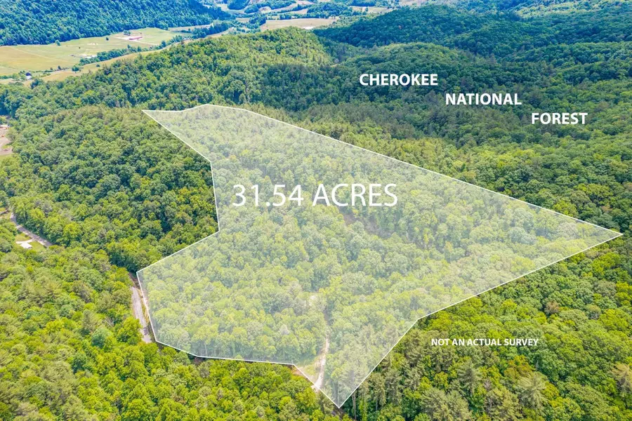 Tbd Jimmy Hollow RD, Butler, TN 37640