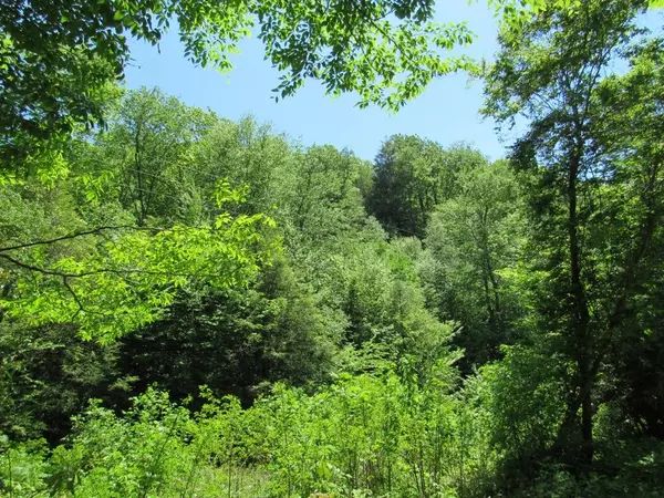 Damascus, VA 24236,Tbd Jeb Stuart HWY