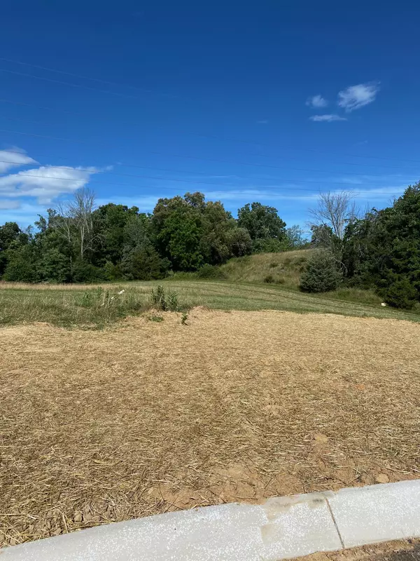 Lot 22 Reserve At Hillendale Farms, Gray, TN 37615