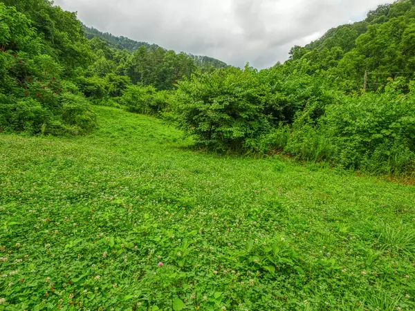 00 Big Branch RD, Rogersville, TN 37857