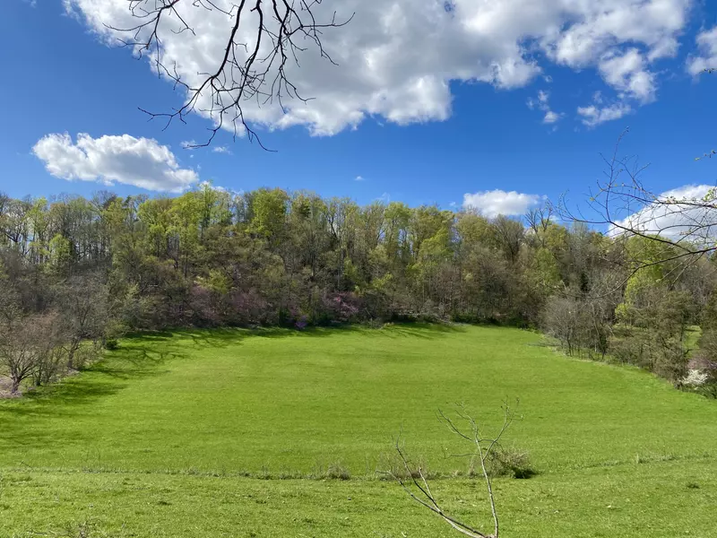 Tbd Glover Gibson RD, Fall Branch, TN 37656