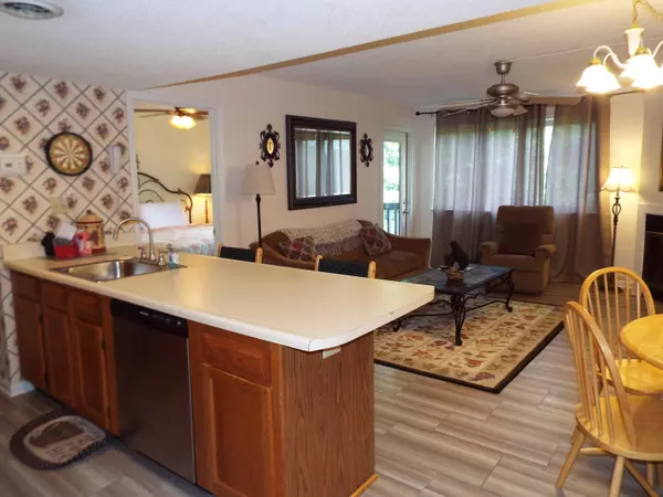 Gatlinburg, TN 37738,1380 Ski View DR #4103