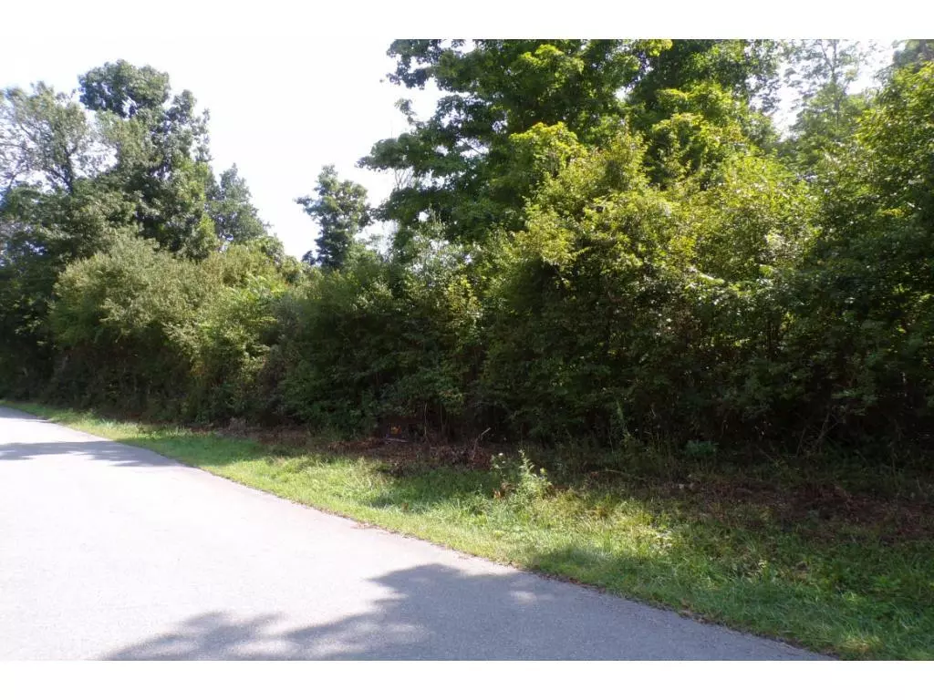 Mountain City, TN 37683,Tbd Buffalo Run Lot 2