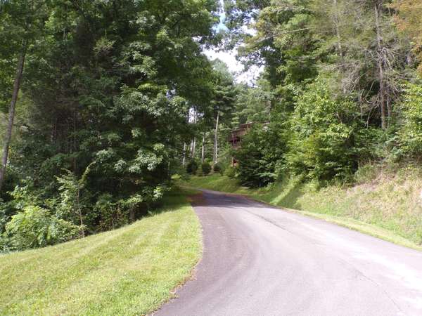 Butler, TN 37640,Lot 2 Lake Ridge Subdivision